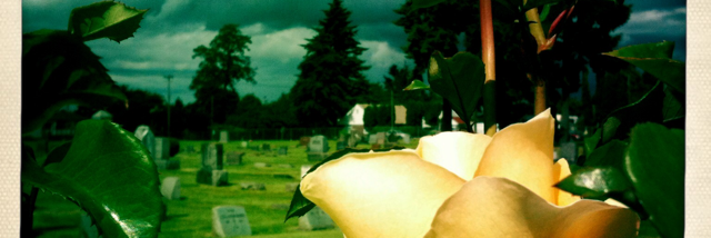 Cover image for post Waiting for you, by JeffStewart