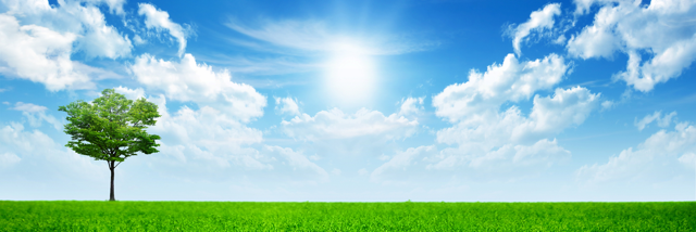 Cover image for post The Afterlife, by richwood4