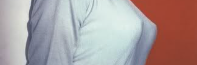 Cover image for post The Effective Detective, by Anitarosner