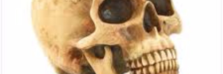 Cover image for post Skull of Souls, by sandflea68