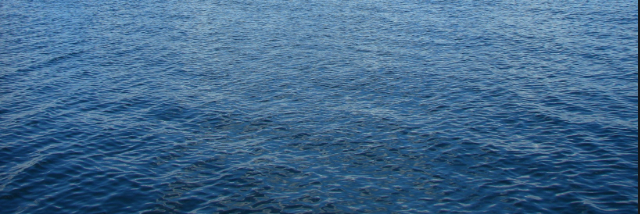 Cover image for post Look to the future and forget the past, by Gymnasticsgirl