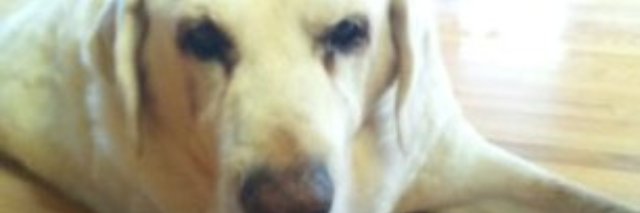 Cover image for post Perhaps, by JaimeMathis