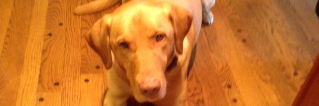 Cover image for post Jake, by Amazing_Kendall