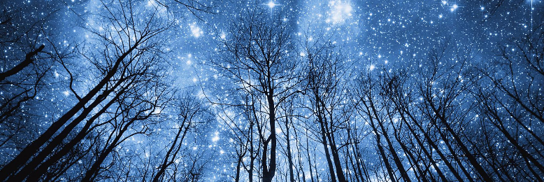 Cover image for post Shooting Stars of Life, by sandflea68