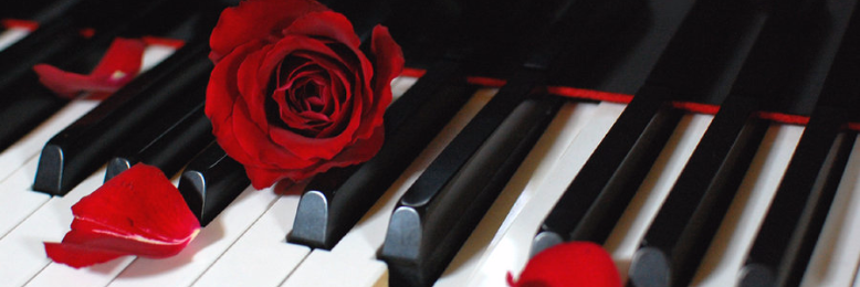 Cover image for post Paradoxon, by sarahonnet