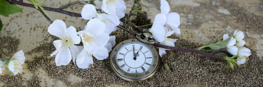 Cover image for post Tonight, It's Her Turn, by Lish