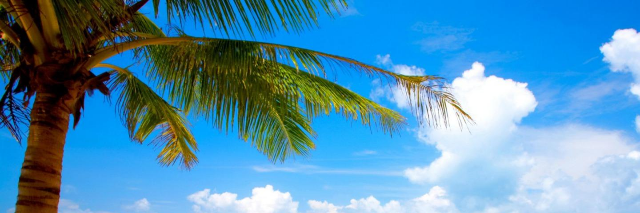 Cover image for post My Sibling., by pgjmiranda