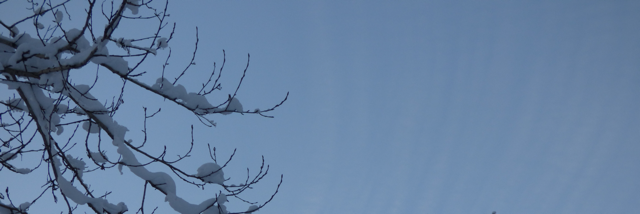 Cover image for post Untitled, by paintingflowers