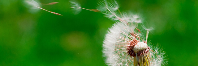 Cover image for post The Answer My Friend, by RiverStarr