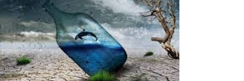 Cover image for post Split, by fallingundone