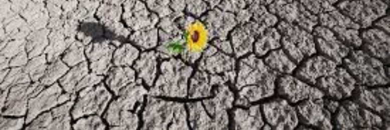 Cover image for post Once More, by sandflea68