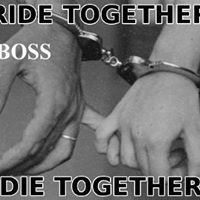 Profile avatar image for kinglowdown