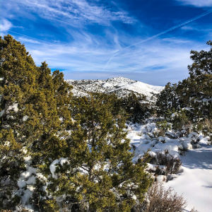 Profile avatar image for JackCharles