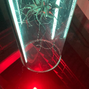 Profile avatar image for deathbyaudio