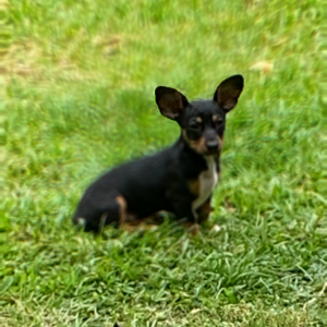 Profile avatar image for McBride