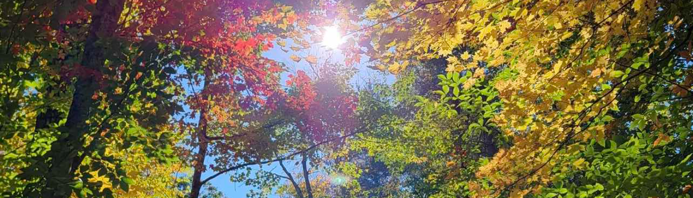 Profile banner image for CinnamonWhistle