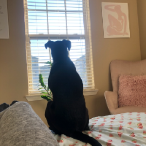 Profile avatar image for SmoofSmokes