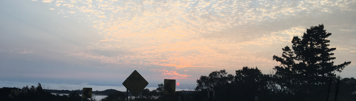 Profile banner image for chickentenders