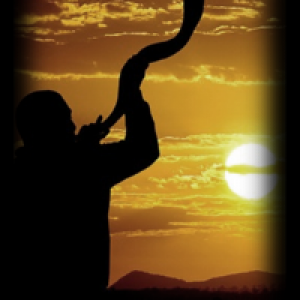 Profile avatar image for kayP