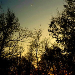 Profile avatar image for rainydayblues