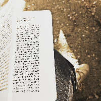 Profile avatar image for logophile01