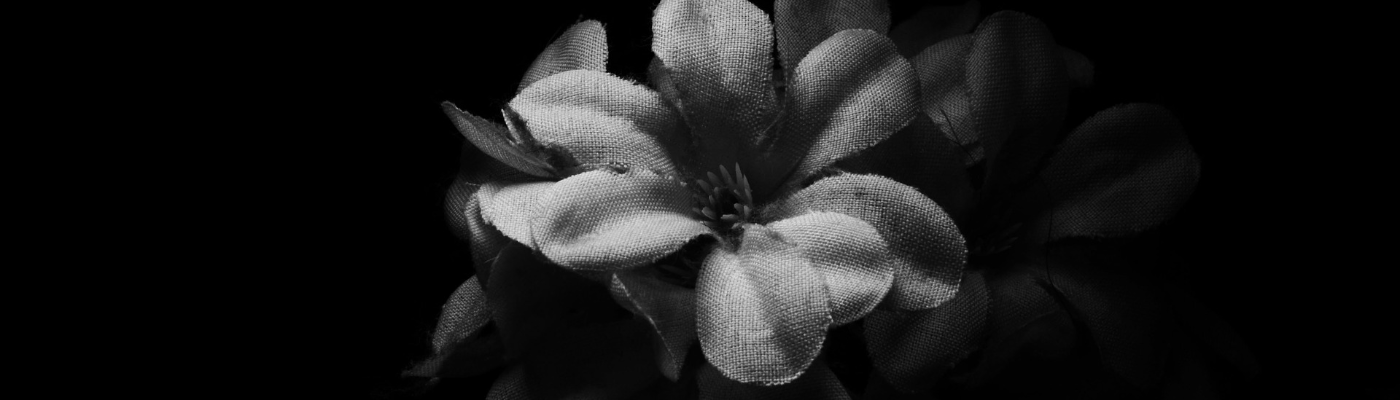 Profile banner image for freegirl7