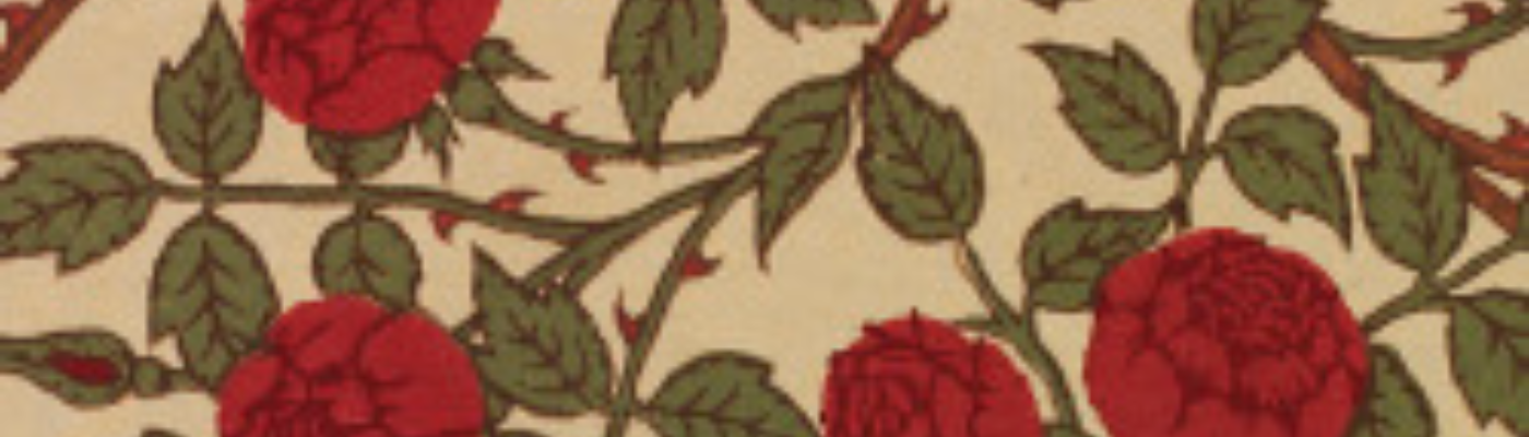 Profile banner image for Serena_Starkova