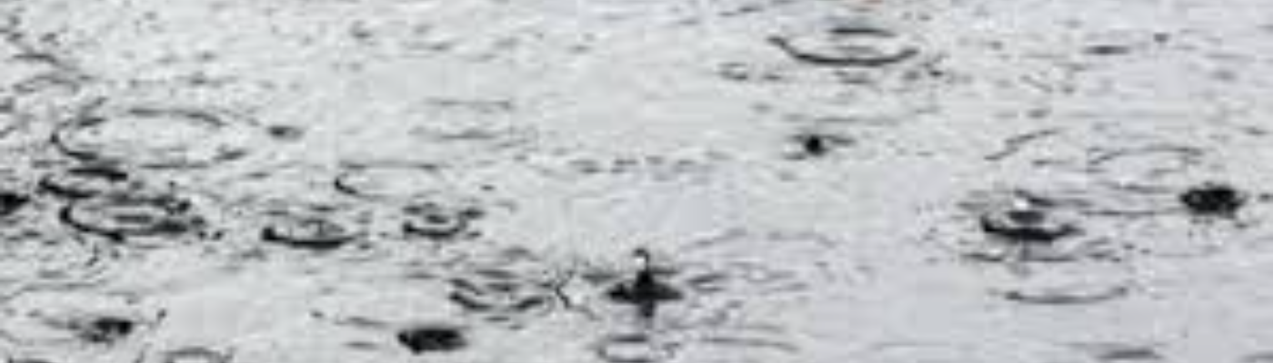 Profile banner image for CeeMarx