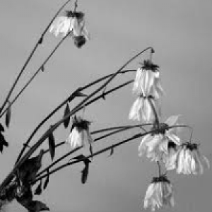 Profile avatar image for CeeMarx