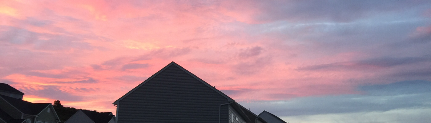 Profile banner image for RoseMcCoy