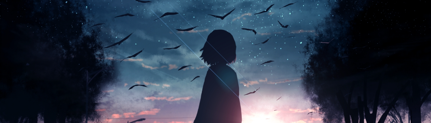 Profile banner image for DuskChaser