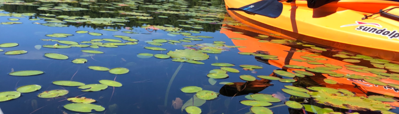 Profile banner image for ladyfrocket