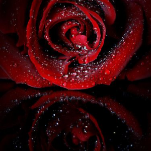 Profile avatar image for Mimilov45