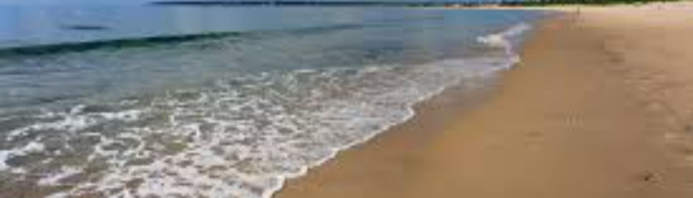 Profile banner image for Rosey_