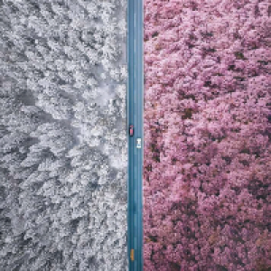 Profile avatar image for Limvumile