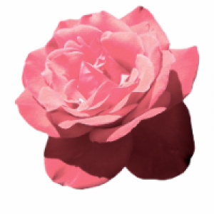 Profile avatar image for luciello