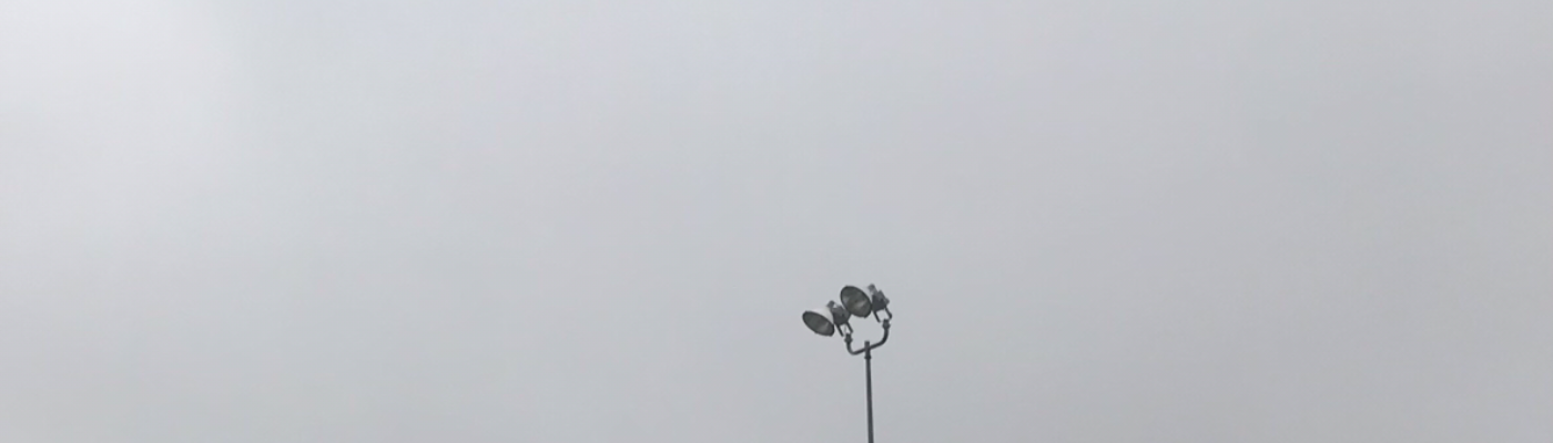 Profile banner image for fuckinmosquito