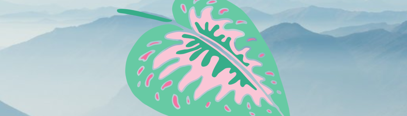 Profile banner image for Silverleaf