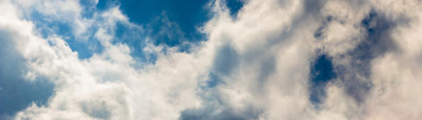 Profile banner image for DaisyMae