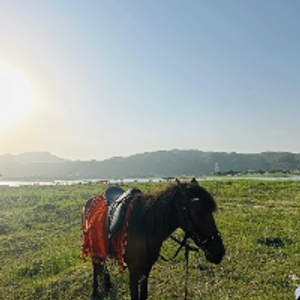 Profile avatar image for MaherAli