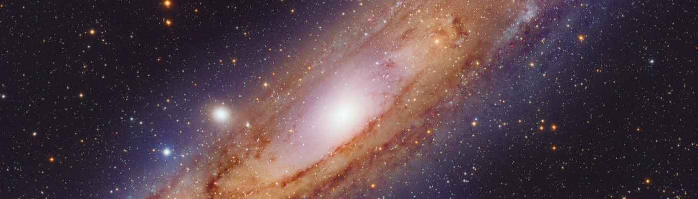 Profile banner image for Wowbear