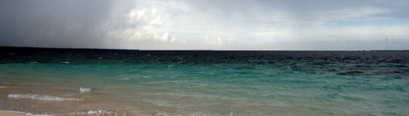 Profile banner image for DumbdumbFinn