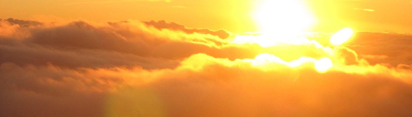 Profile banner image for SunflowersWorld