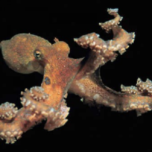 Profile avatar image for gabee