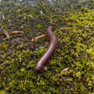 Profile avatar image for elidoesprose