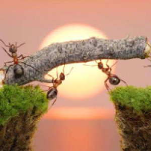 Profile avatar image for William_C