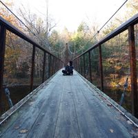 Profile avatar image for Lexandracamelia