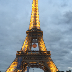 Profile avatar image for Force_of_Words