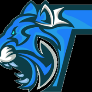 Profile avatar image for turkmaxi