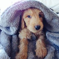 Profile avatar image for moonshooter